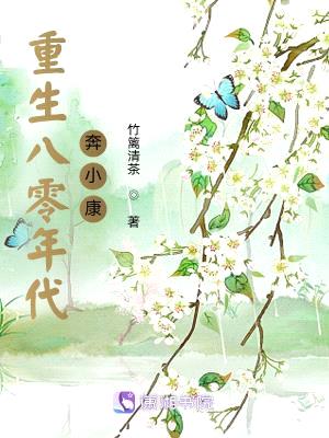重生八零年代奔小康